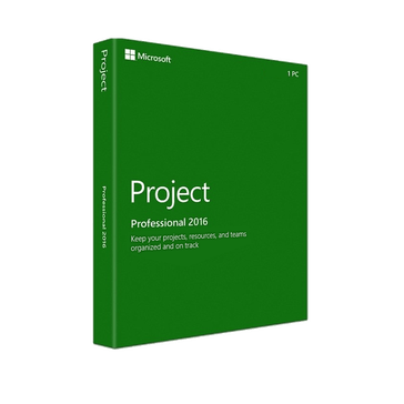 Microsoft Project Professional